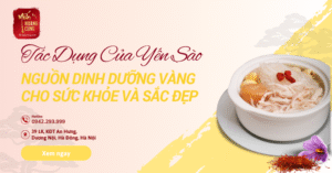 tac-dung-cua-yen-sao-0