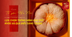 to-yen-ha-noi-0