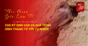 thoi-gian-yen-lam-to-0