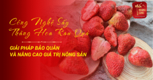 cong-nghe-say-thang-hoa-rau-qua-3