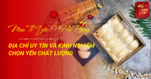 mua-to-yen-o-hai-phong-0