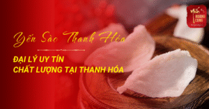 dai-ly-yen-sao-khanh-hoa-tai-thanh-hoa-0
