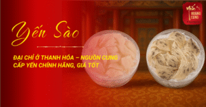 yen-sao-ha-noi-hai-ba-trung-0