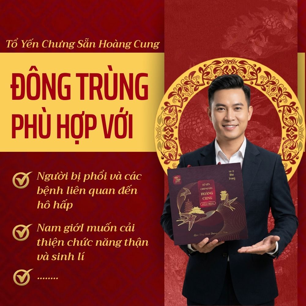 TỔ YẾN CHƯNG SẴN HOÀNG CUNG ĐÔNG TRÙNG (Hộp 10 hũ)