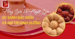 hong-yen-va-huyet-yen-0