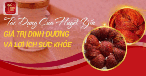 tac-dung-cua-huyet-yen-0