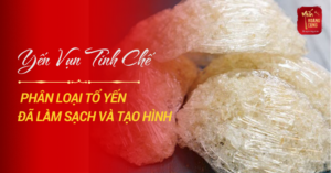 yen-vun-tinh-che-la-gi-0